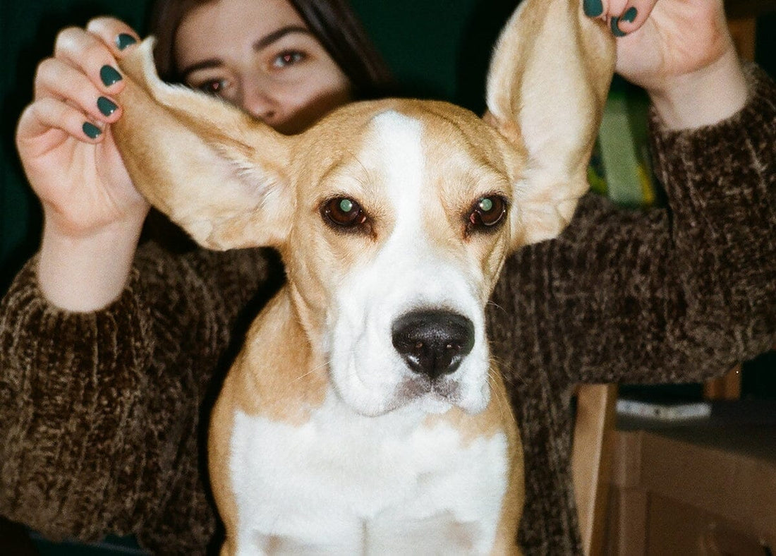 The Most Popular Pet Names Of 2022!