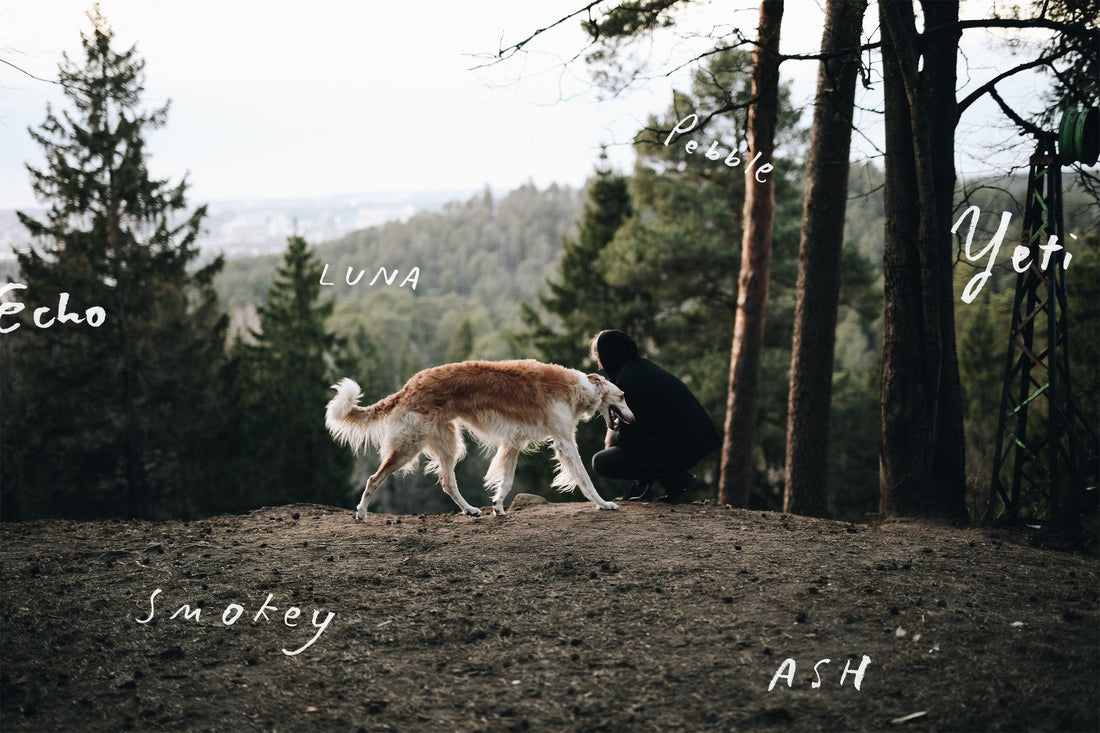 Nature inspired names for dogs and cats in 2021