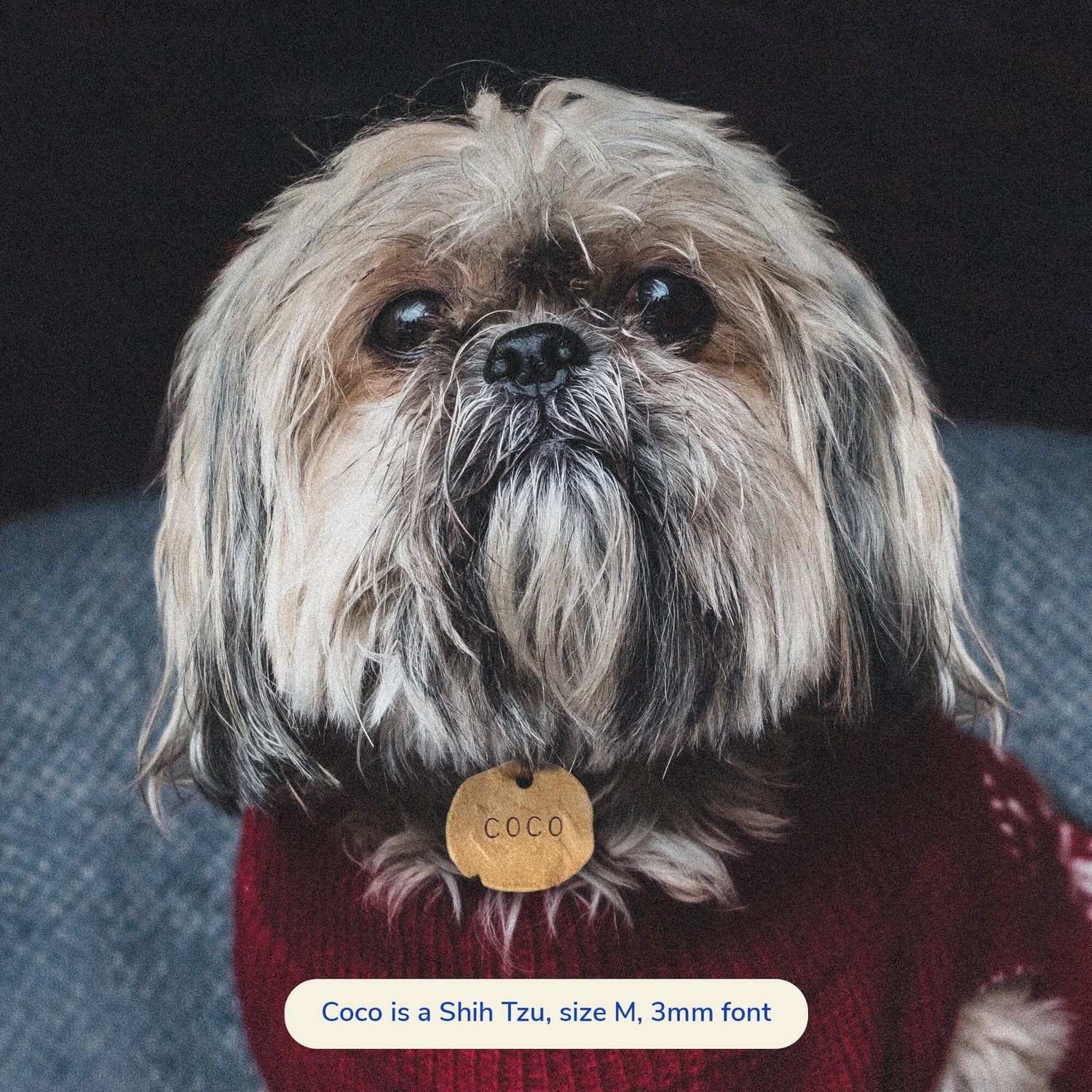 Coco is wearing size M