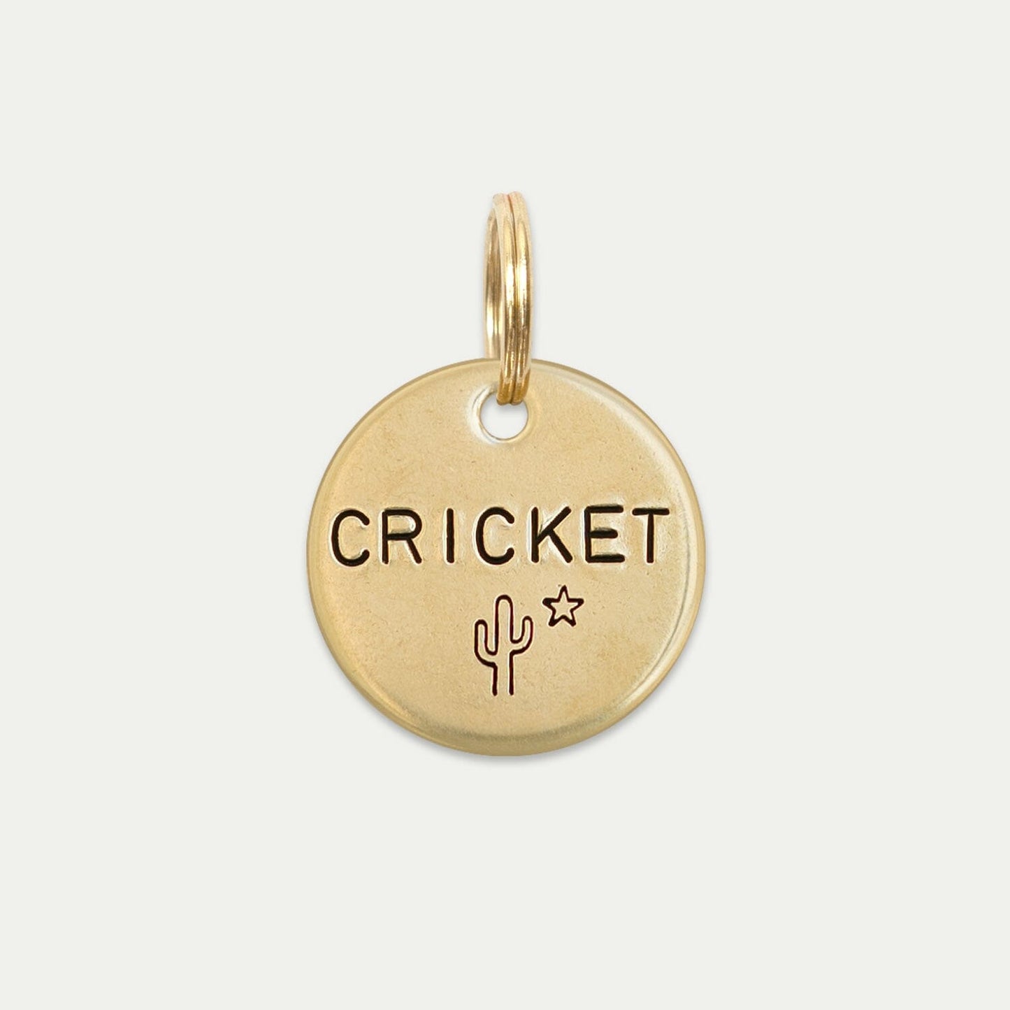 Cricket
