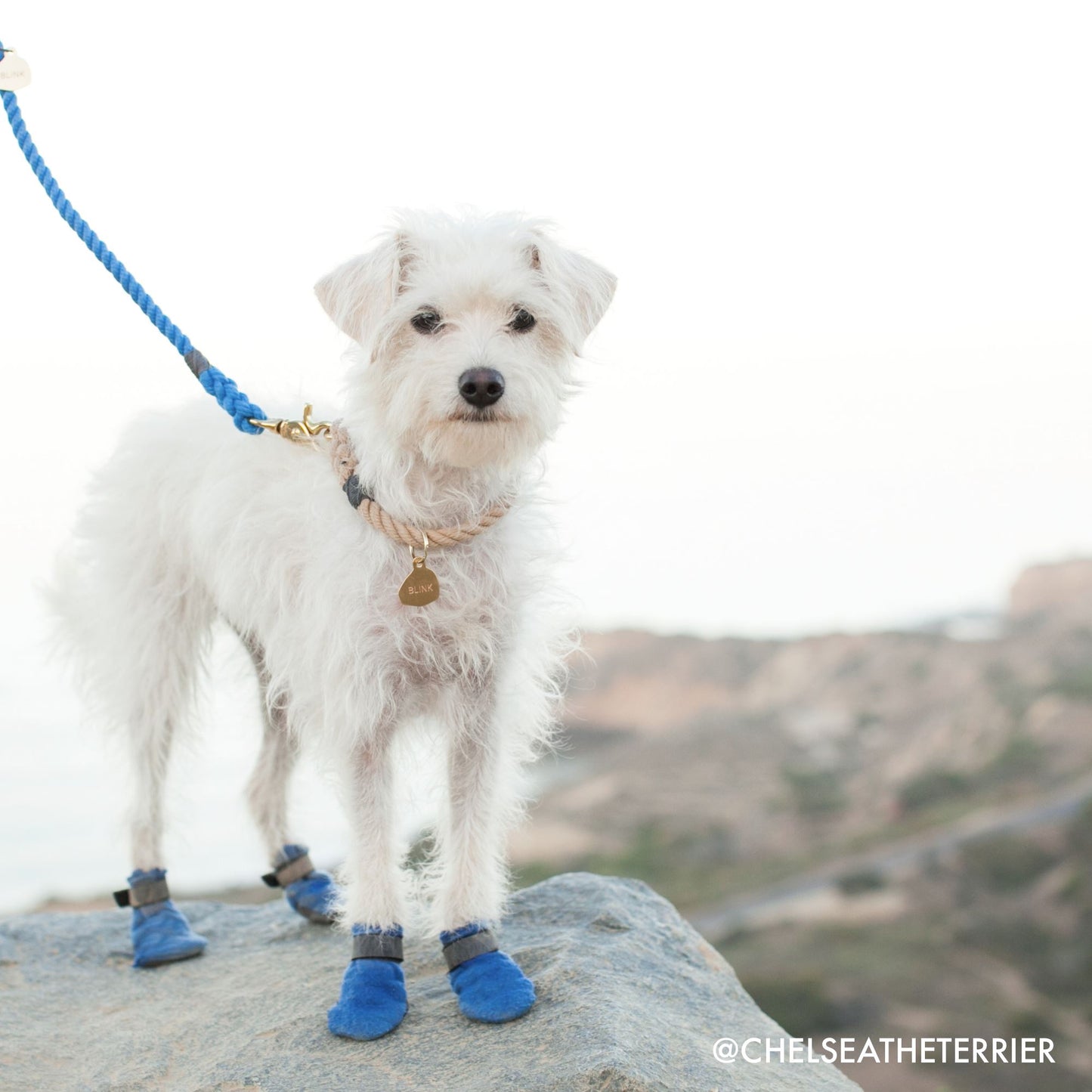 Blue Sailing Rope Leash