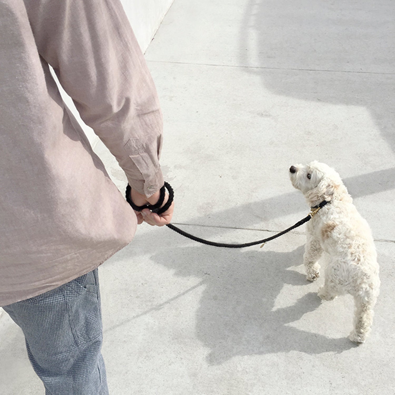 Black Sailing Rope Dog Leash
