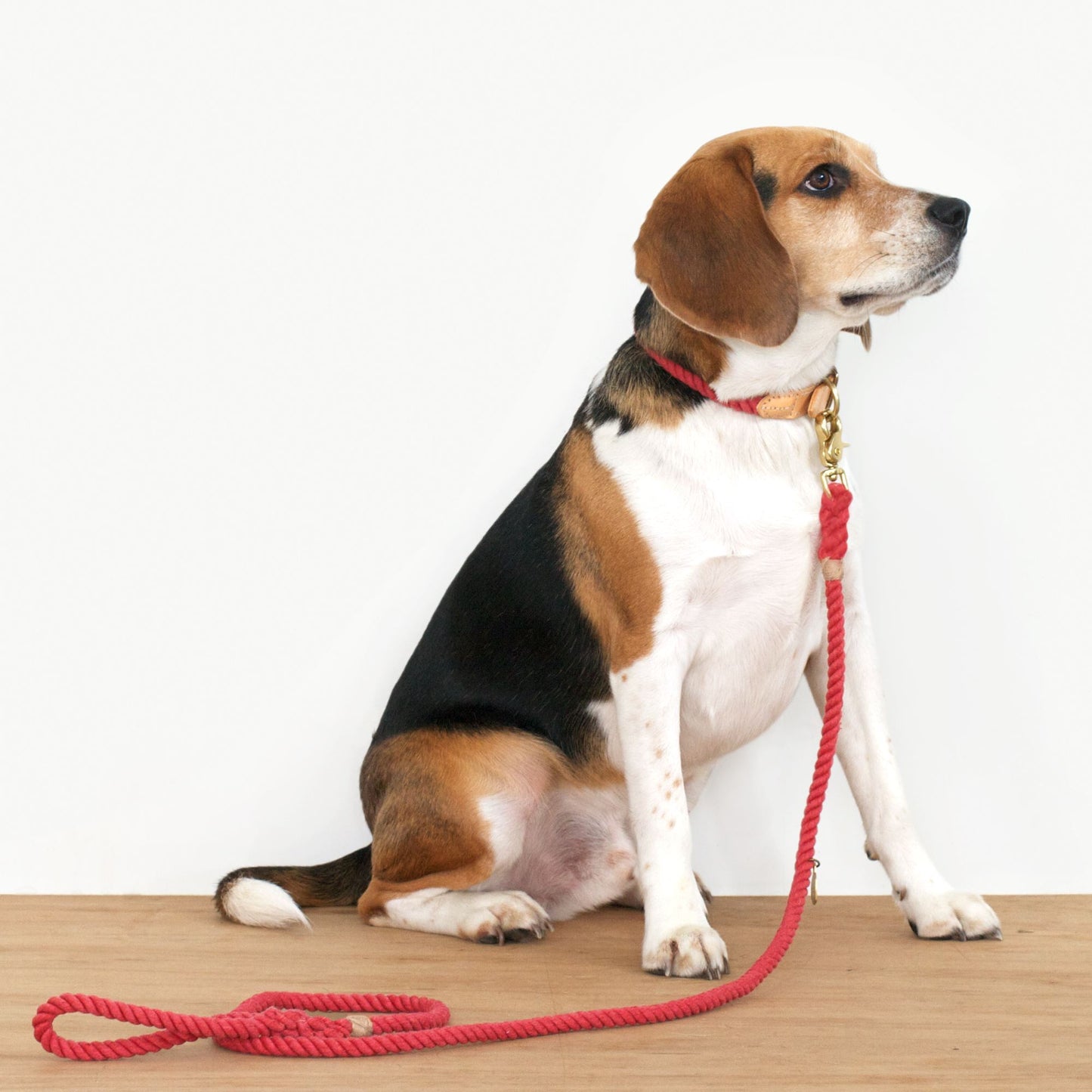 Red Sailing Rope Leash