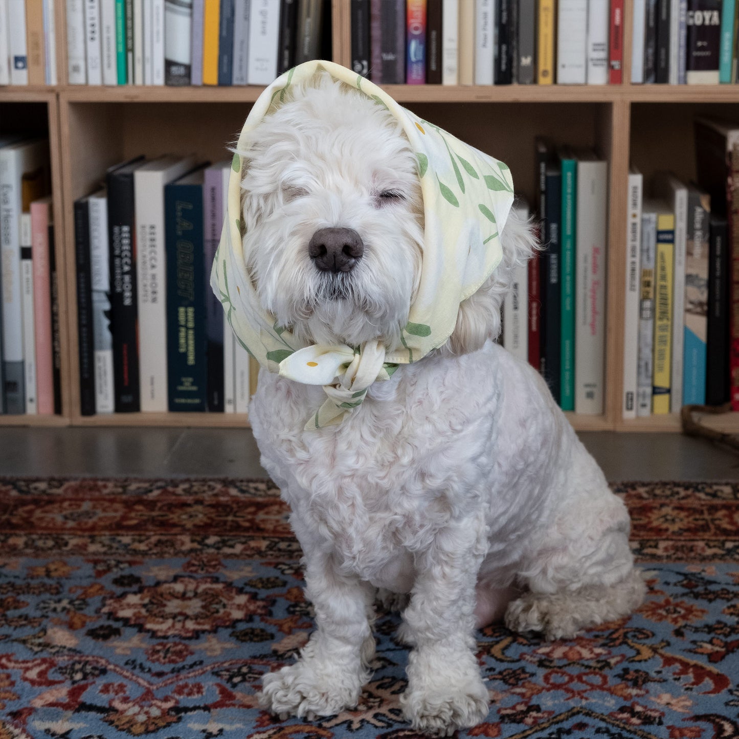 Dog bandana