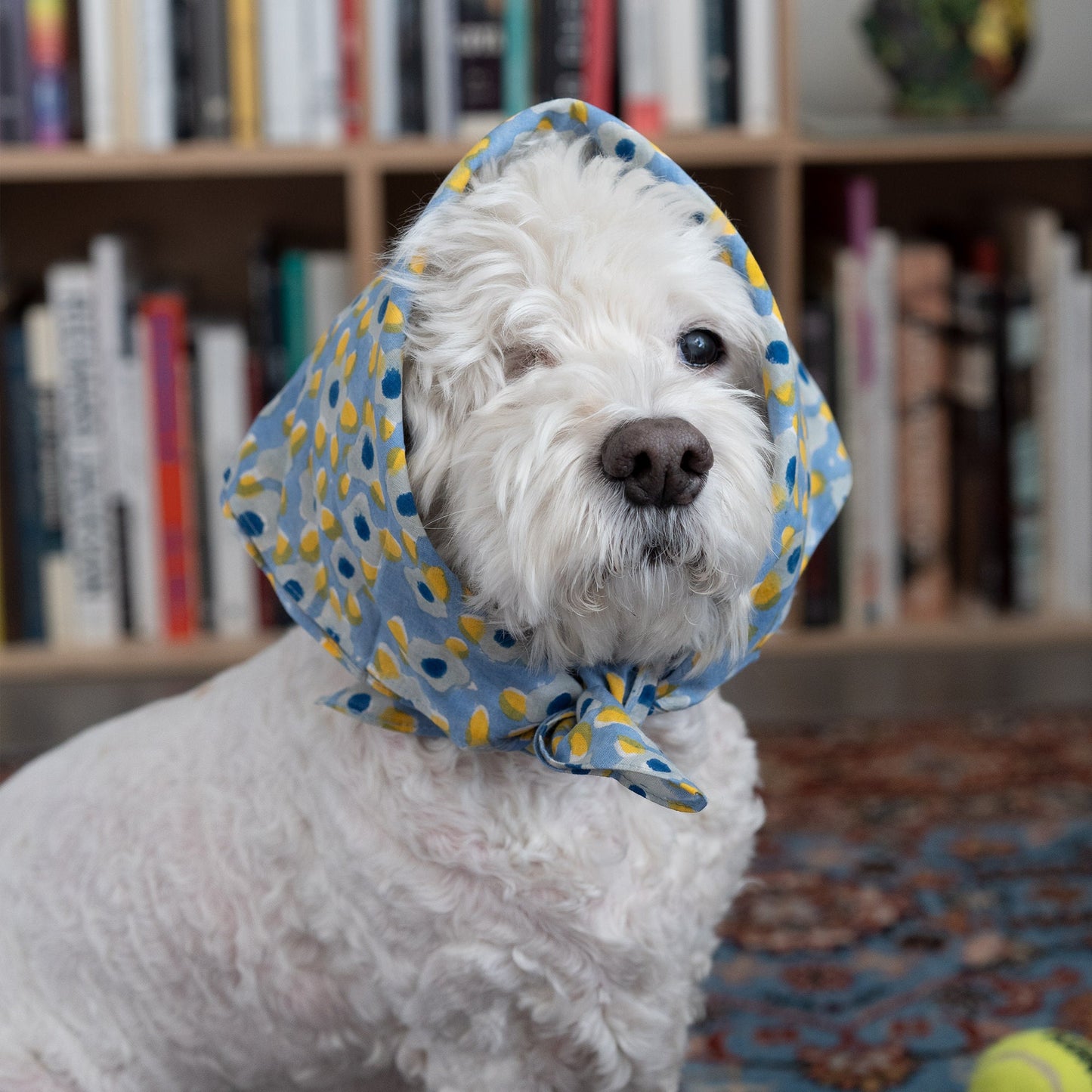 Dog bandana