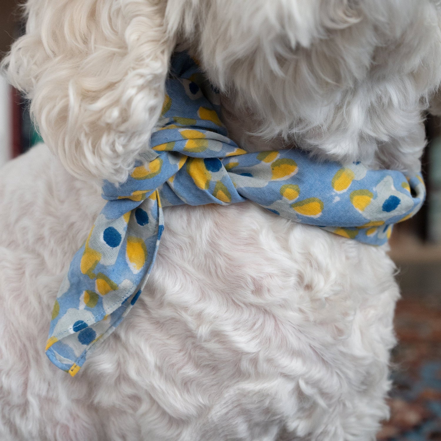 Dog bandana