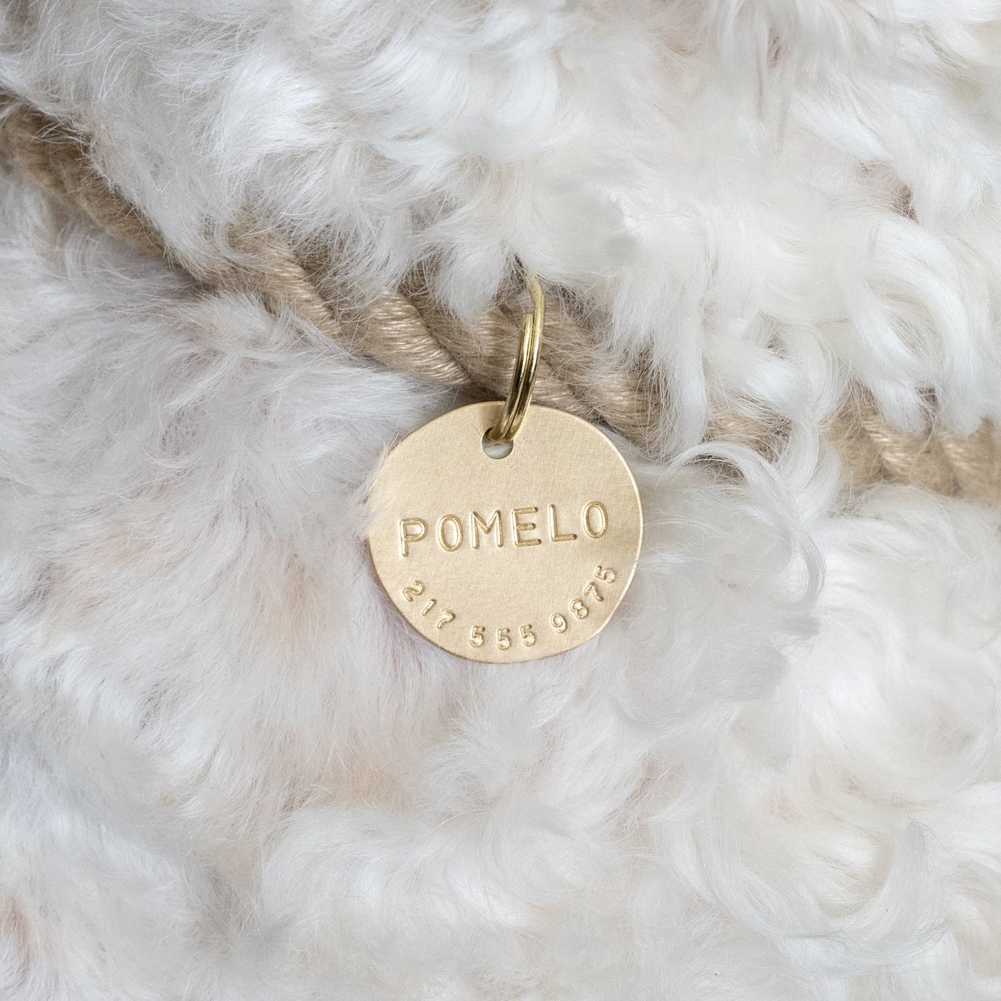 Pomelo