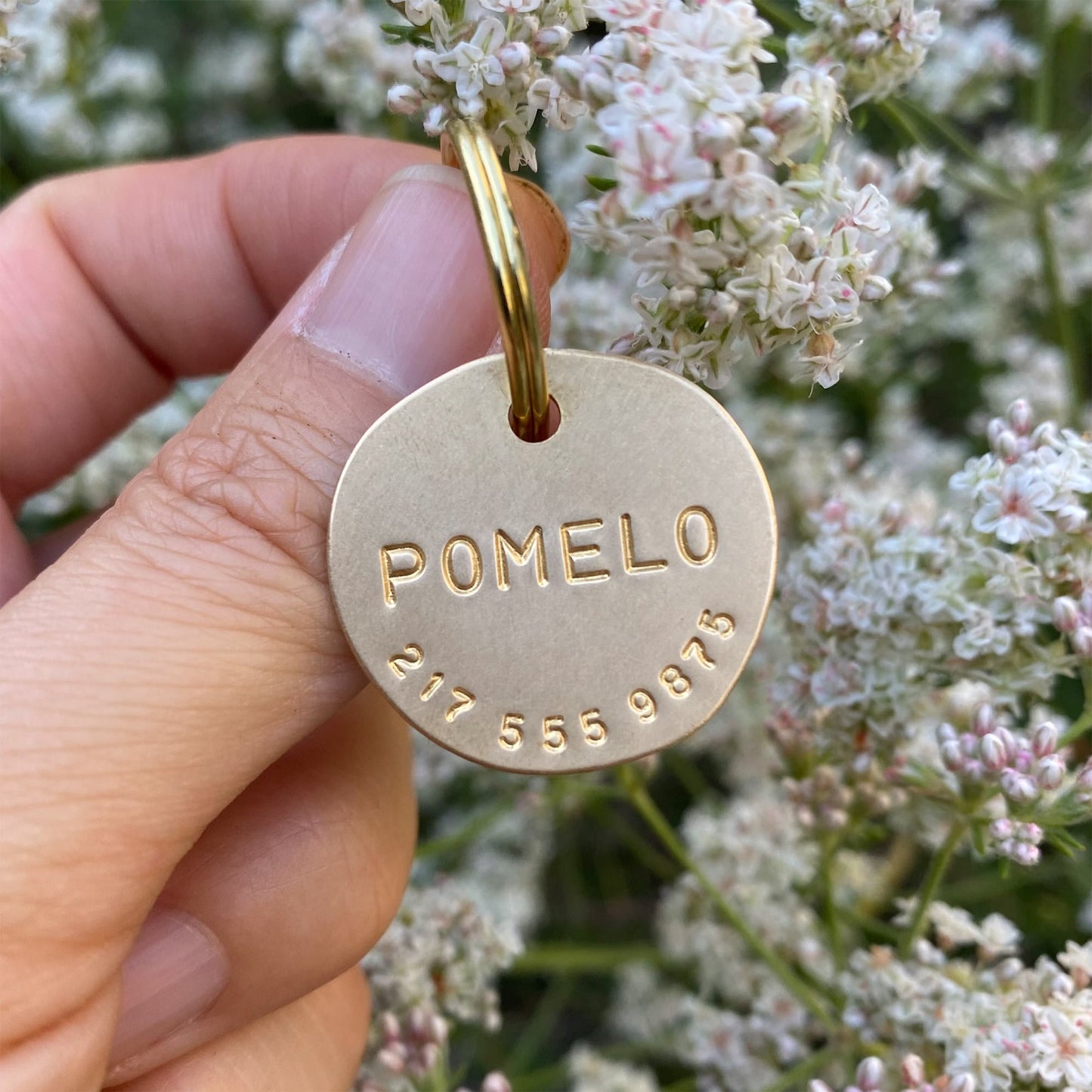 Pomelo