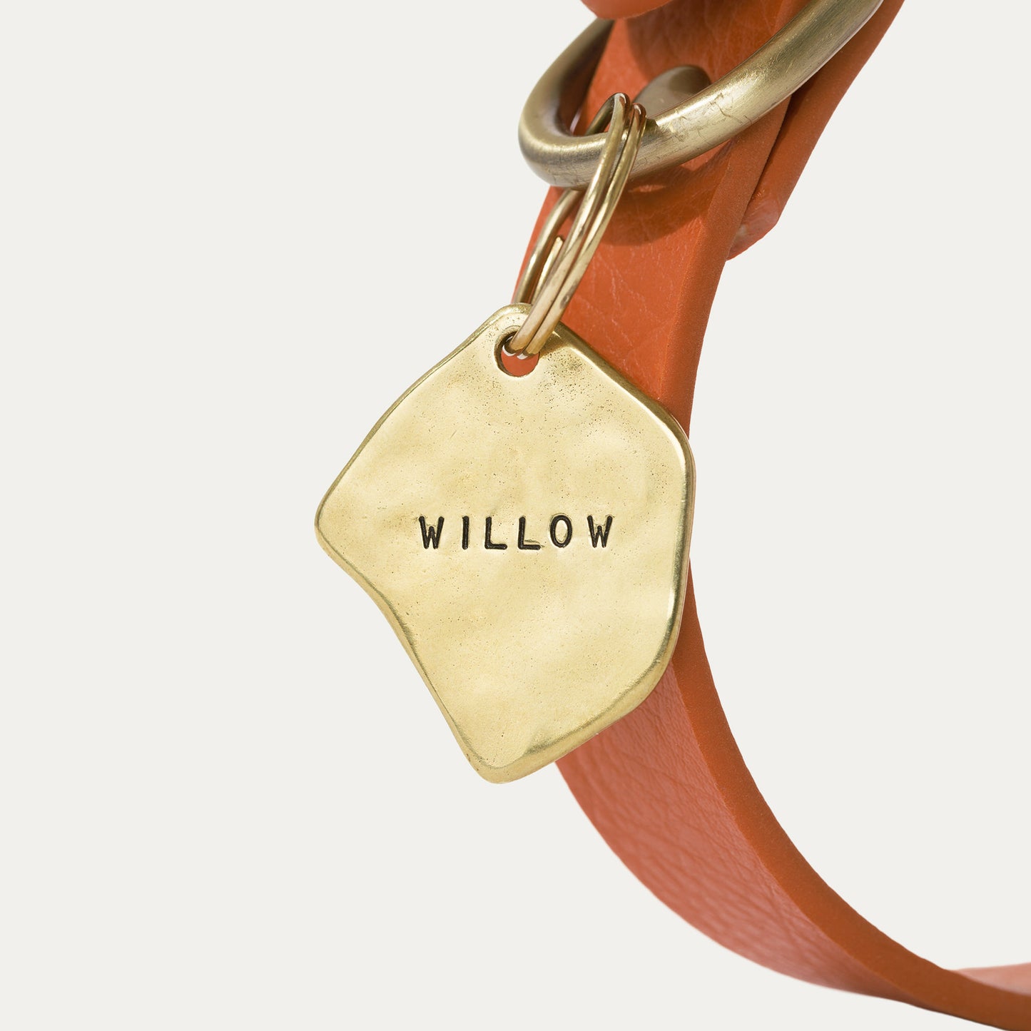 Dog Ear Tag