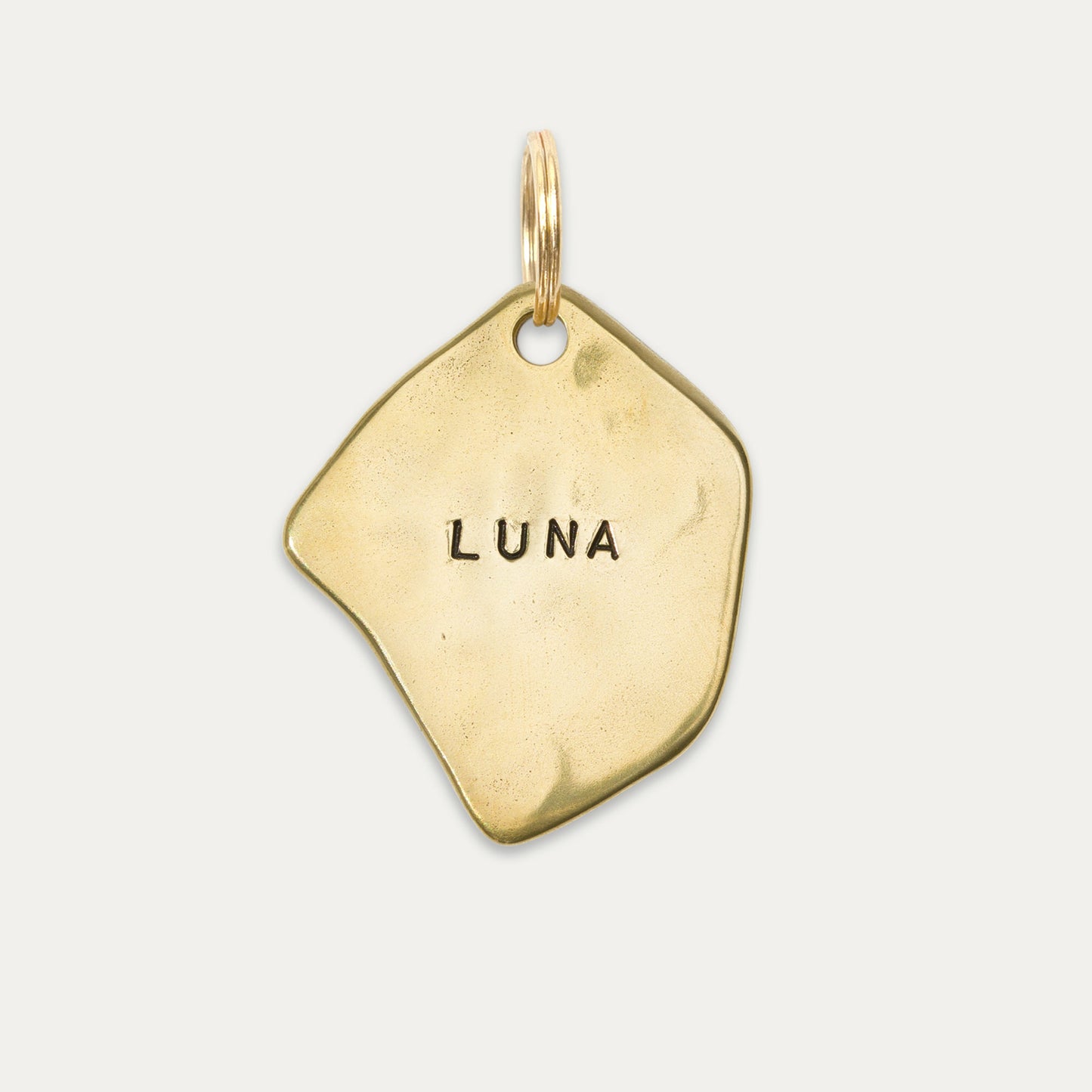 Dog Ear Tag